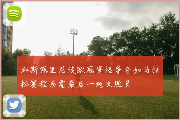 加斯佩里尼谈欧冠资格争夺如马拉松赛程或需最后一轮决胜负