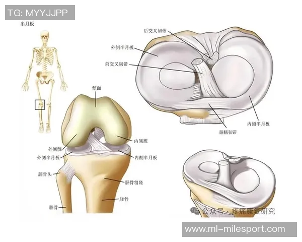 加比亚左膝过度伸展受伤情况更新已排除韧带和半月板损伤风险 加比亚左膝过度伸展受伤情况更新已排除韧带和半月板损伤风险